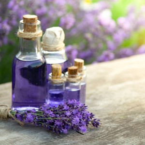 Lavender Oil 50ml