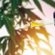Hemp Oil 50ml